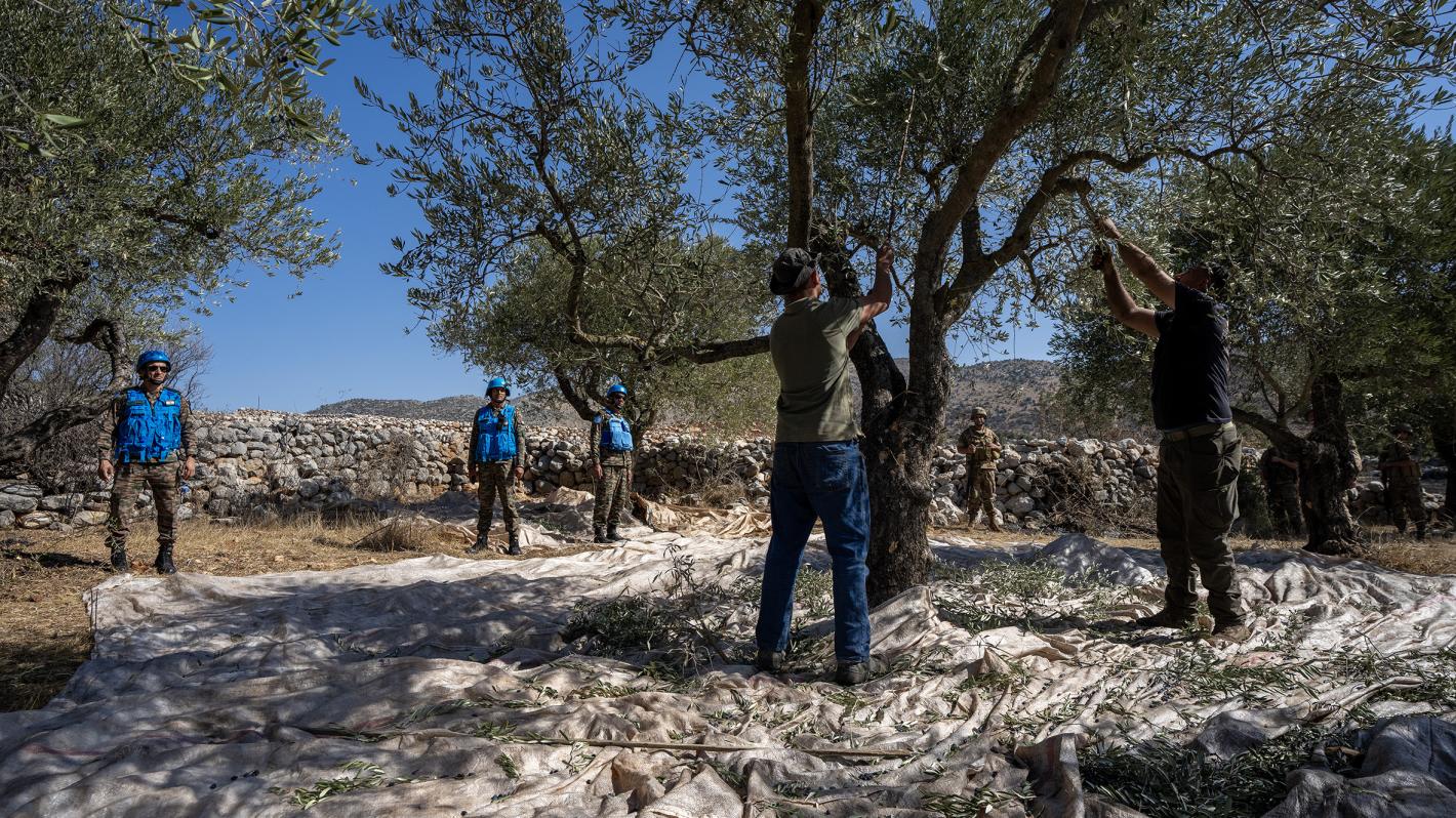 UNIFIL and LAF secure olive harvests near Blue Line