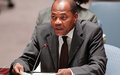 رئيس اليوناميد يقدم إحاطة لمجلس الأمن الدولي حول دارفور