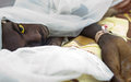 اليوناميد توفر الموارد اللازمة لمكافحة الحمى الصفراء فى دارفور