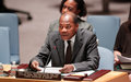 UNAMID Head briefs UN Security Council on Darfur